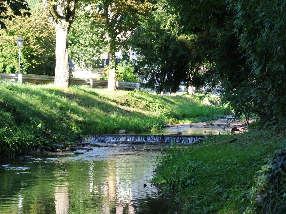 Landhaus Edelmann Mullheim  Kültér fotó